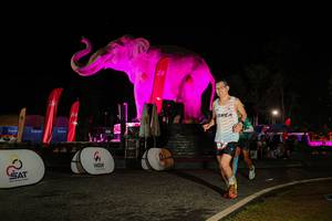 BIB: 
                            <button type="button" onclick="openModal(26534094)" class="btn btn-primary btn-sm float-right btn-popup" data-toggle="modal" data-target=".modal-high-quality">
                        <i class="fas fa-shopping-cart"></i> Add to Cart
                    </button>
                                            <button type="button" onclick="isThisMe(26534094, true)" class="btn btn-success btn-sm float-right btn-popup btn-isme hidden" data-toggle="tooltip" data-placement="bottom" title="นี่คือรูปของคุณใช่ไหม คลิกที่นี่เพื่อเอาเข้าอัลบั้ม">
                        <i class="fas fa-plus"></i> Add to album
                    </button>
                    <button type="button" onclick="isThisMe(26534094, false)" class="btn btn-warning btn-sm float-right btn-popup btn-isnotme hidden">
                        <i class="fas fa-ban"></i> Remove from album
                    </button>